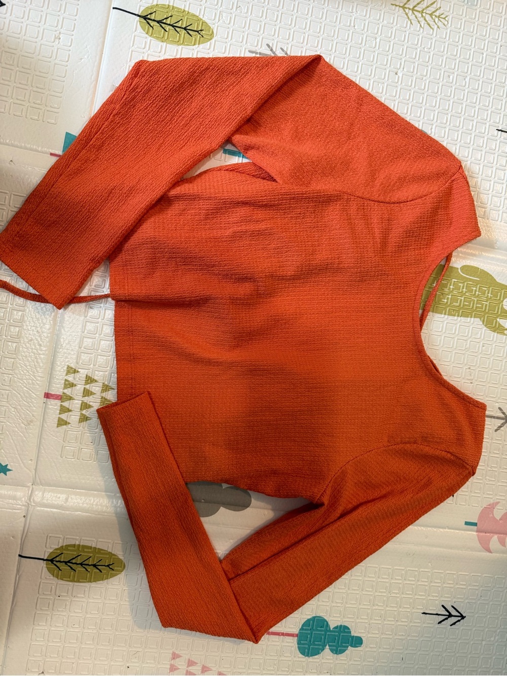 Nasty Gal Orange Ribbed Crop Crewneck Top